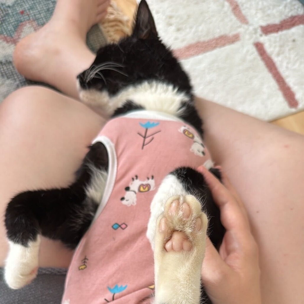 Kiki