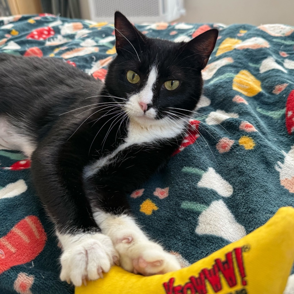 Kiki