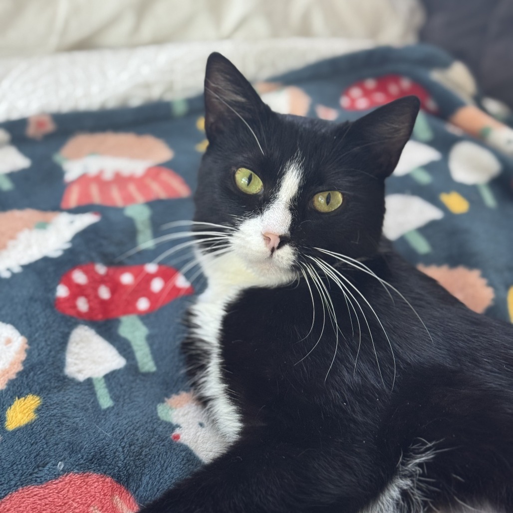 Kiki