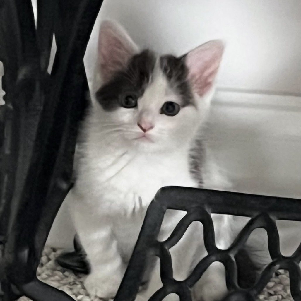 Rory
