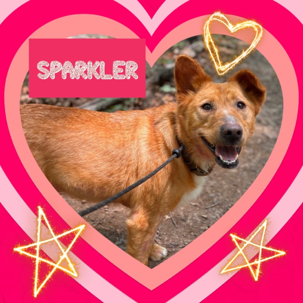 Sparkler
