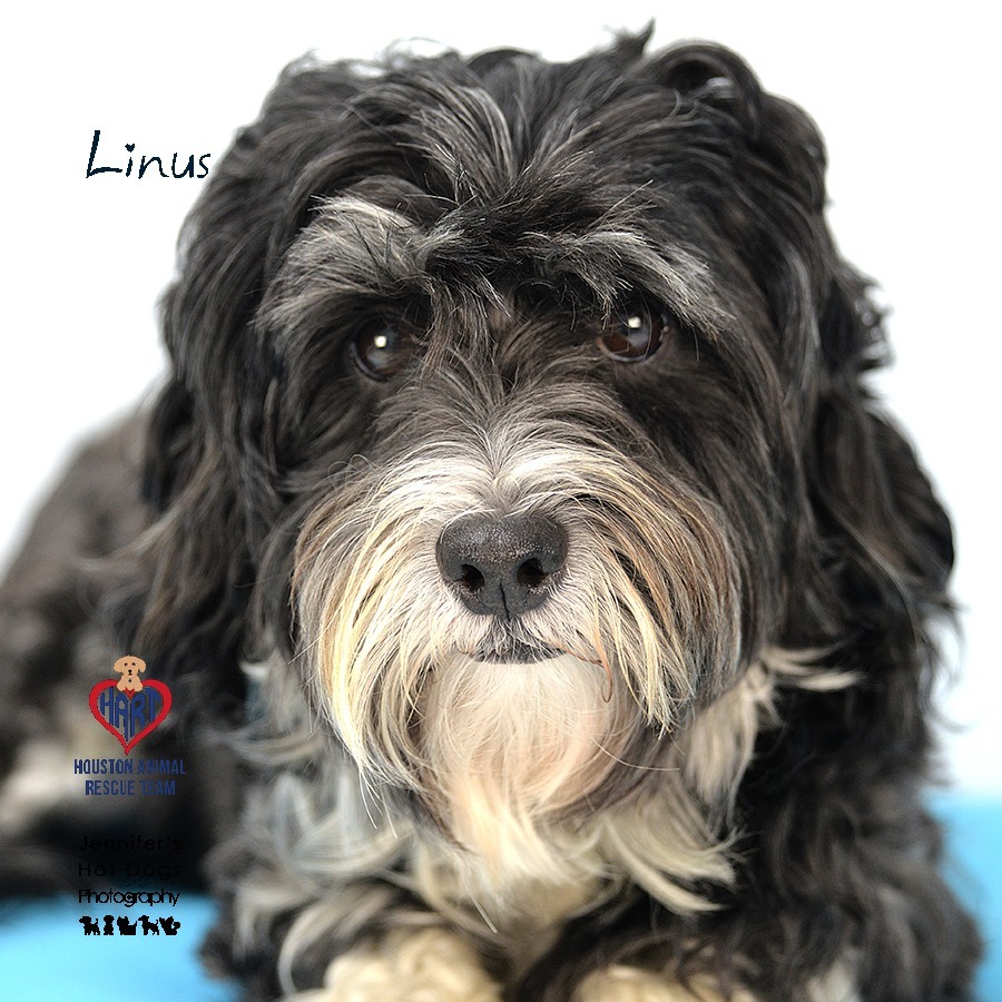 Linus