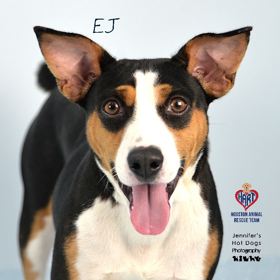 EJ