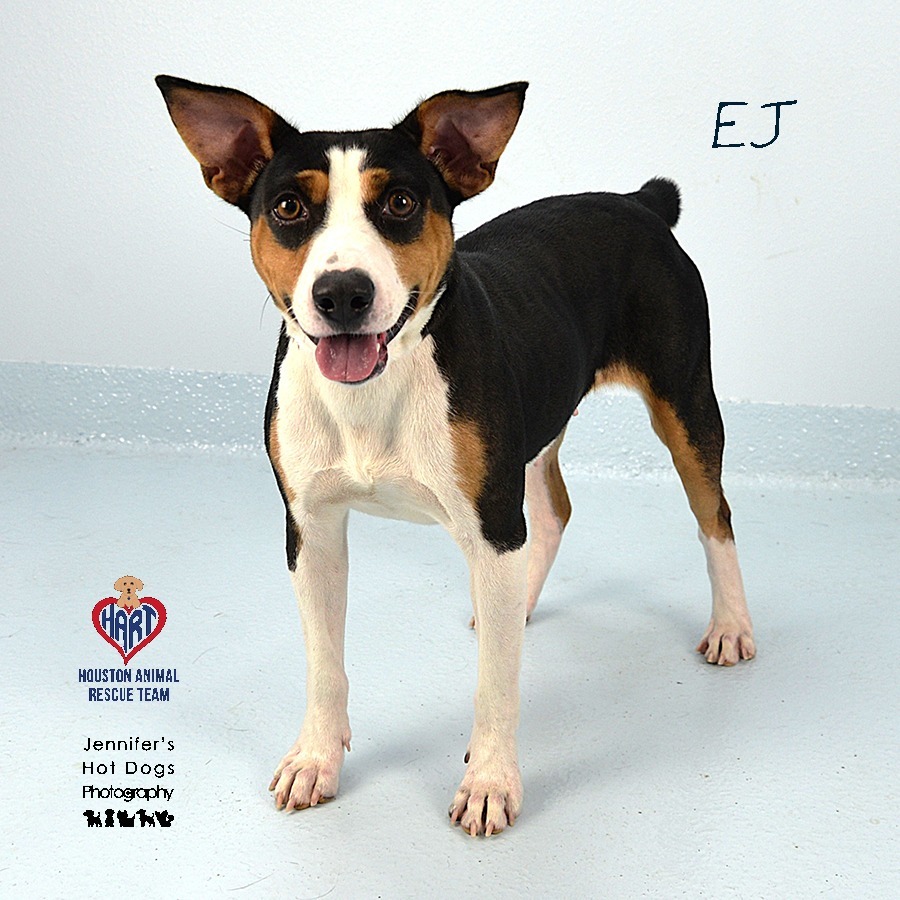 EJ