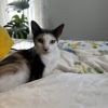 Mama photo 2