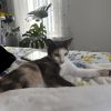 Mama photo 3
