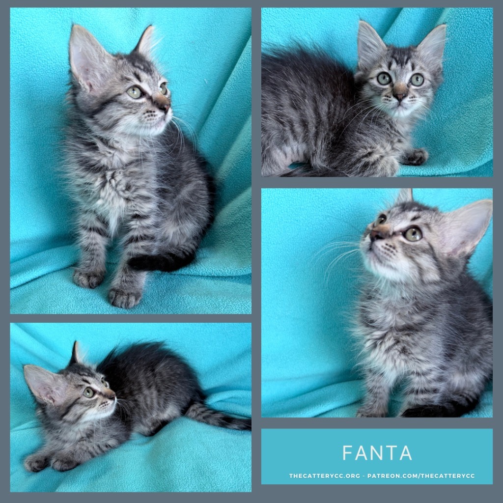 Fanta