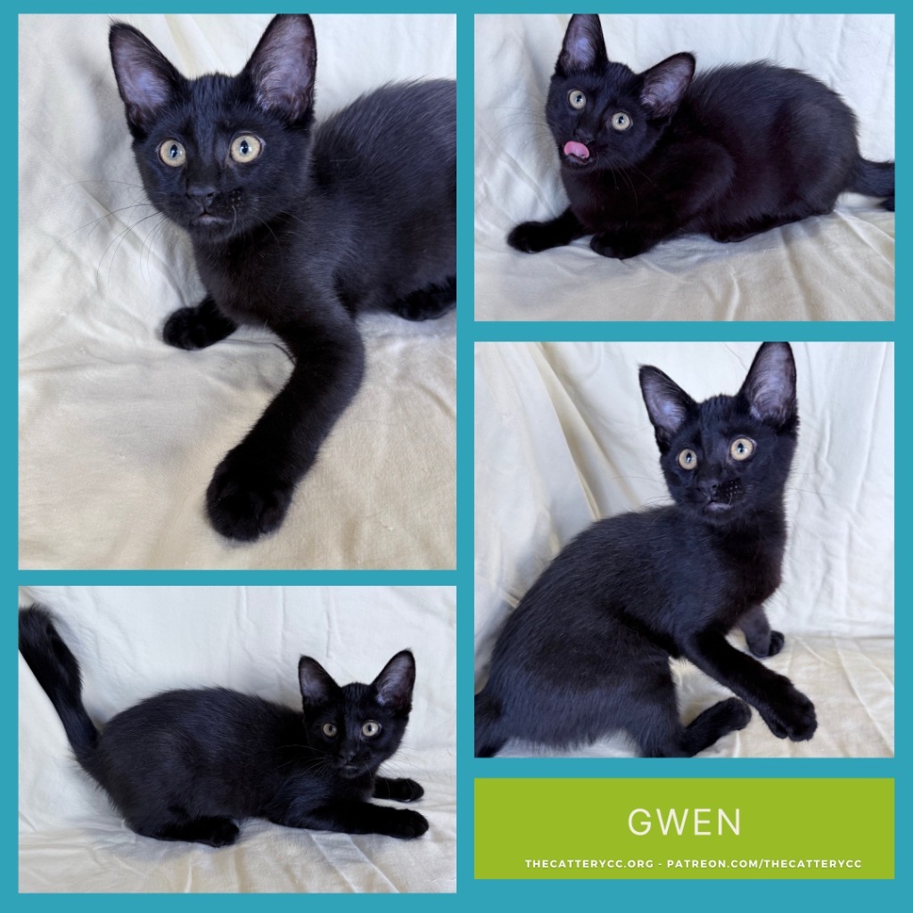 Gwen