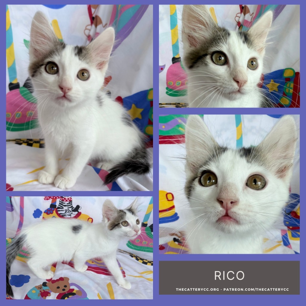 Rico