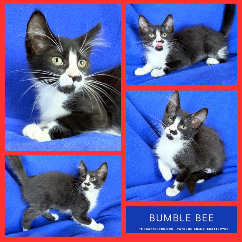 Bumblebee