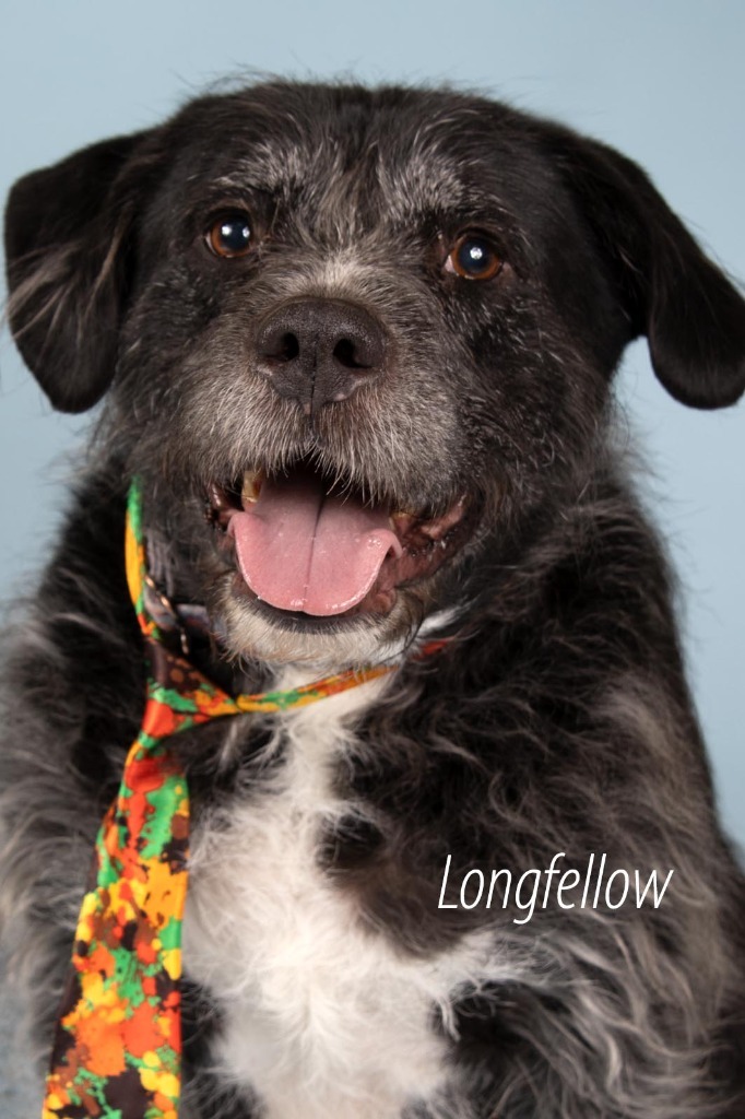 Longfellow