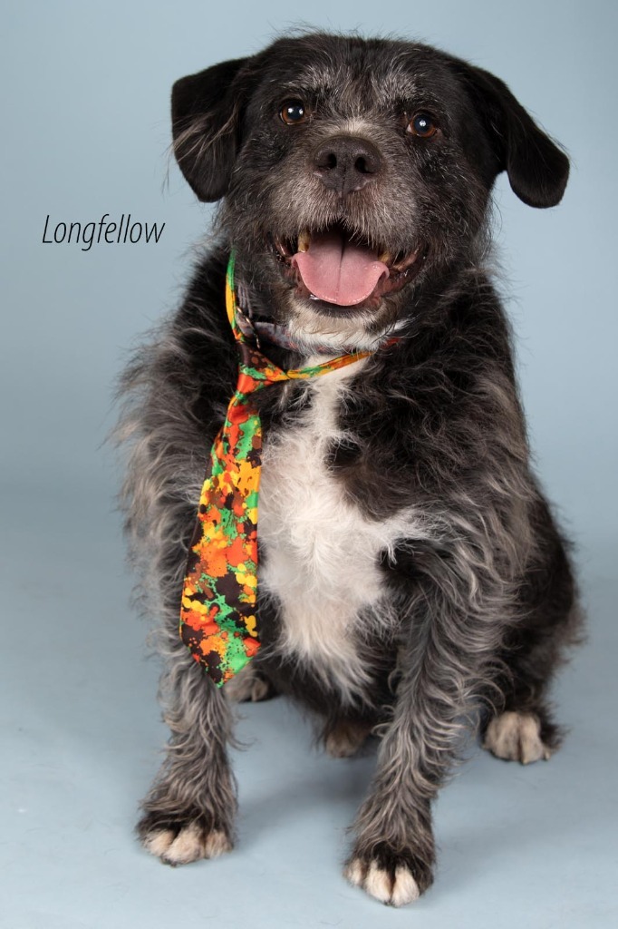Longfellow