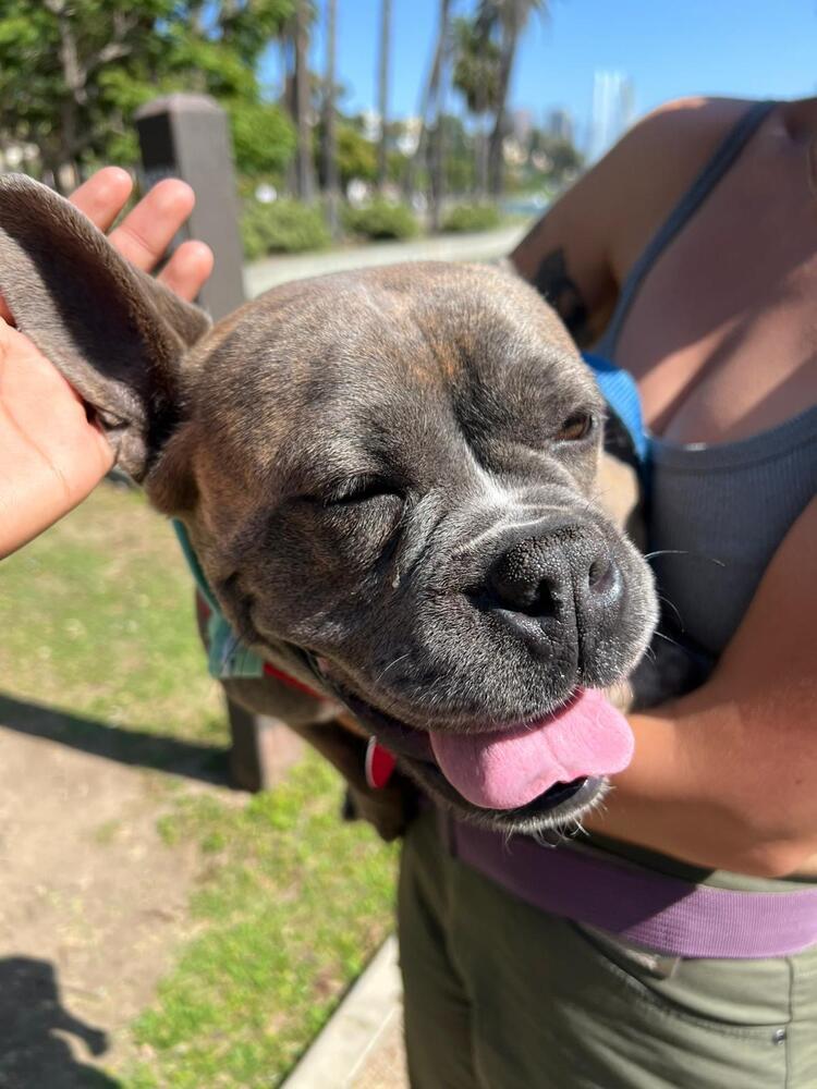 Gigi