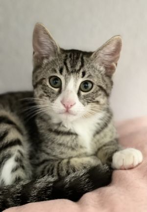 Duncan
