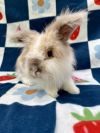 Jac (Bonded to Judd) photo 3