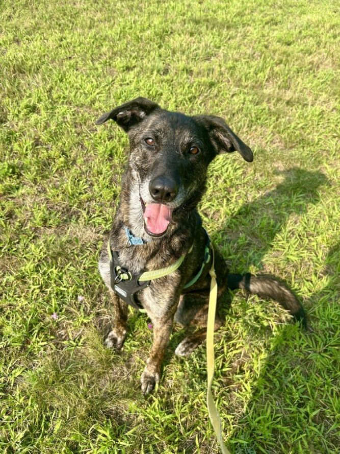 Ripley