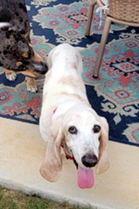 MOLLIE MAE 1