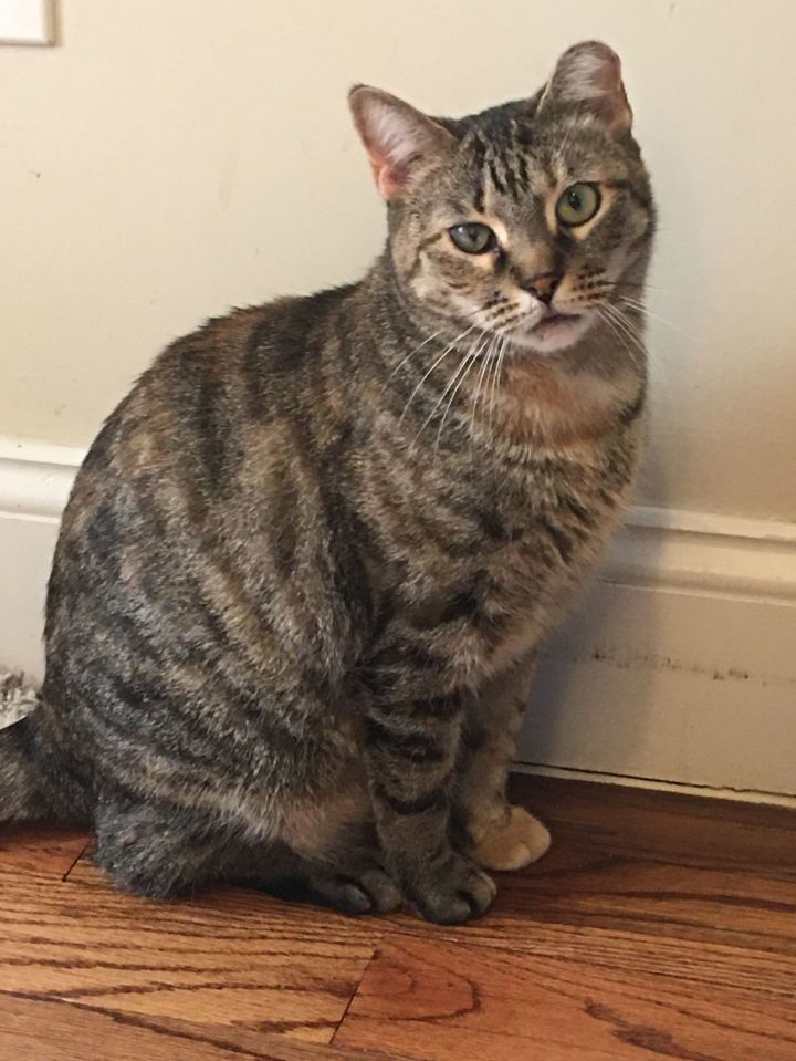 Ella 2