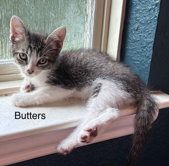 Butters 1