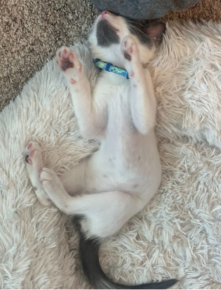 Max 2