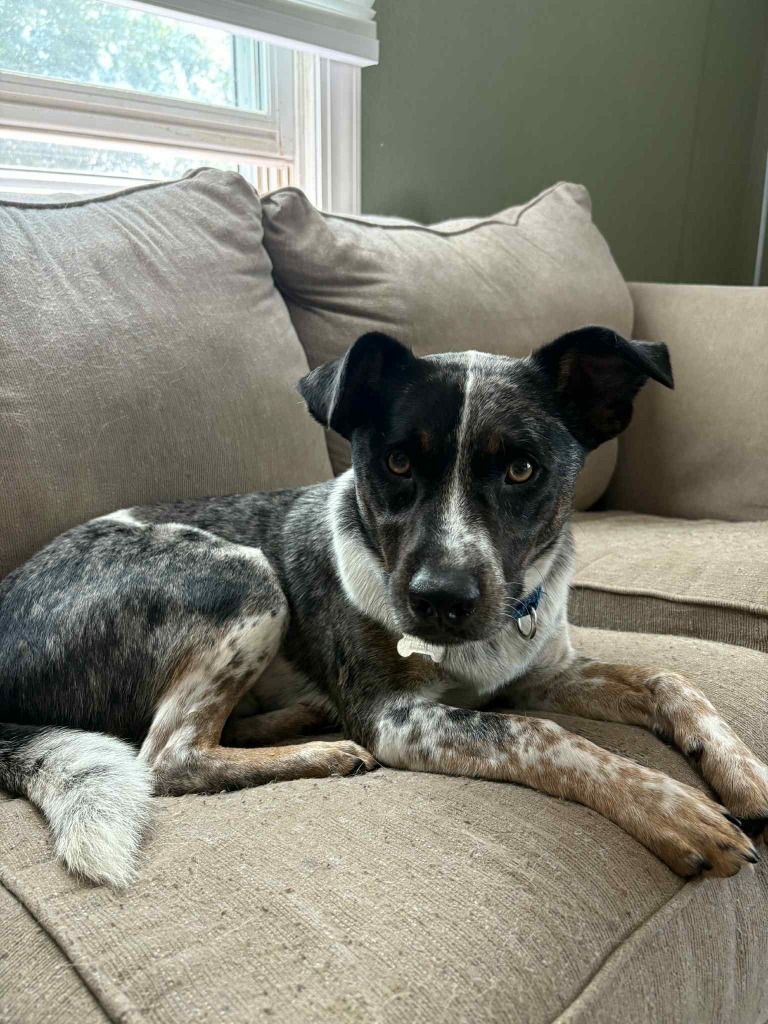 Mateo