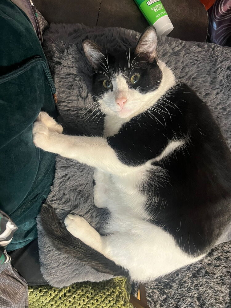 Bugsy/Elliott 9132