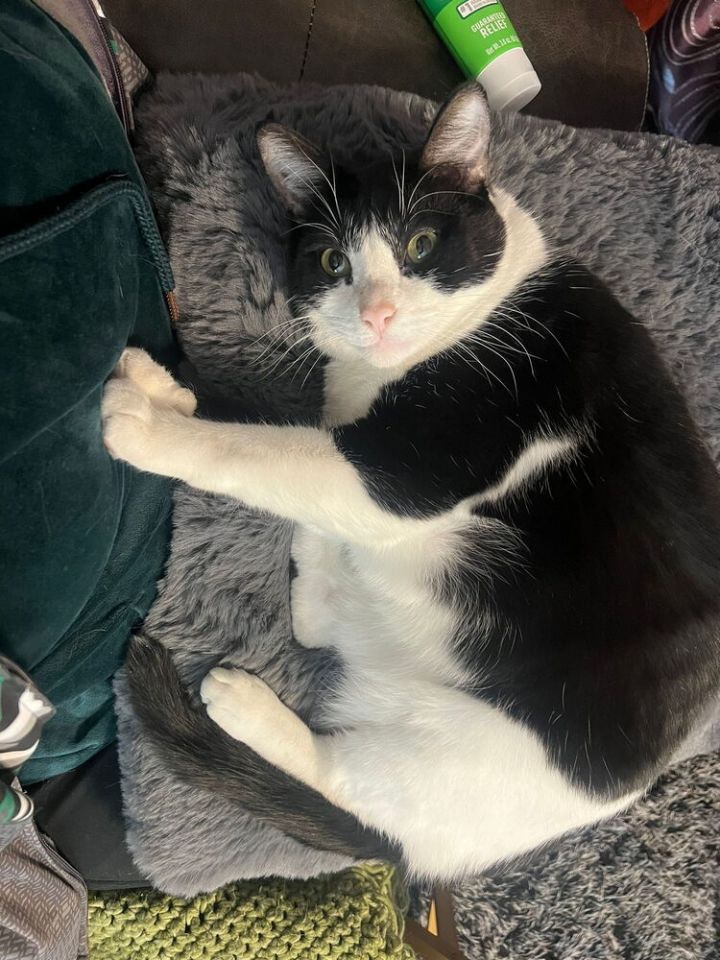 Bugsy/Elliott 9132 2