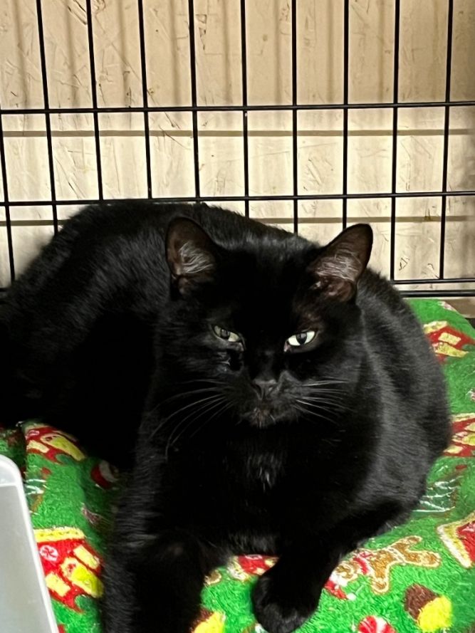 Binx