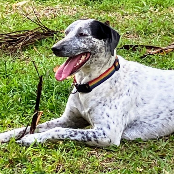 Kiko 1