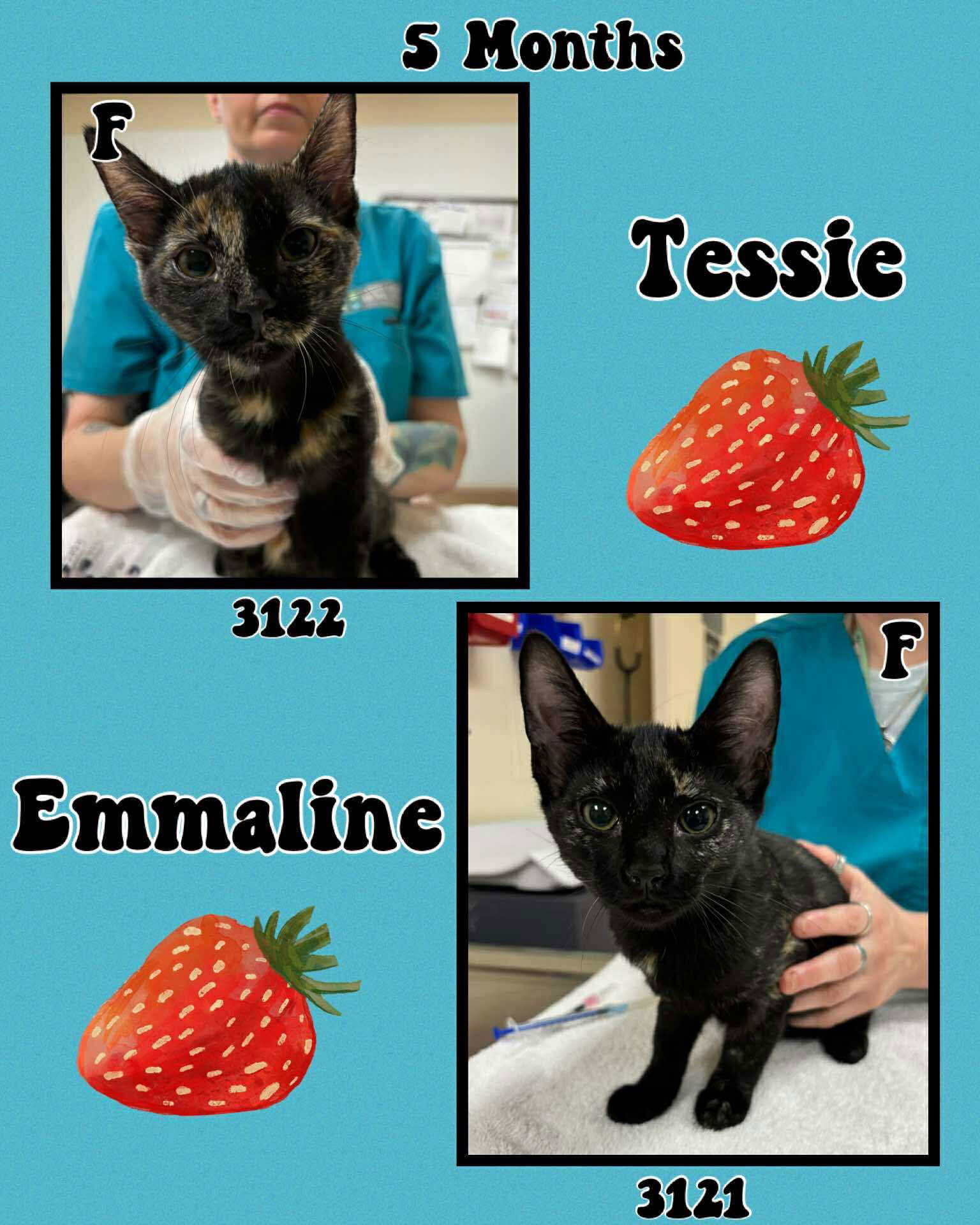 EMMALINE