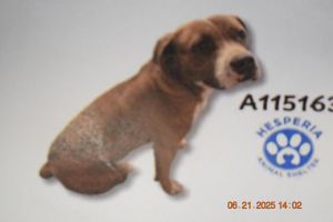 Christopher A115163