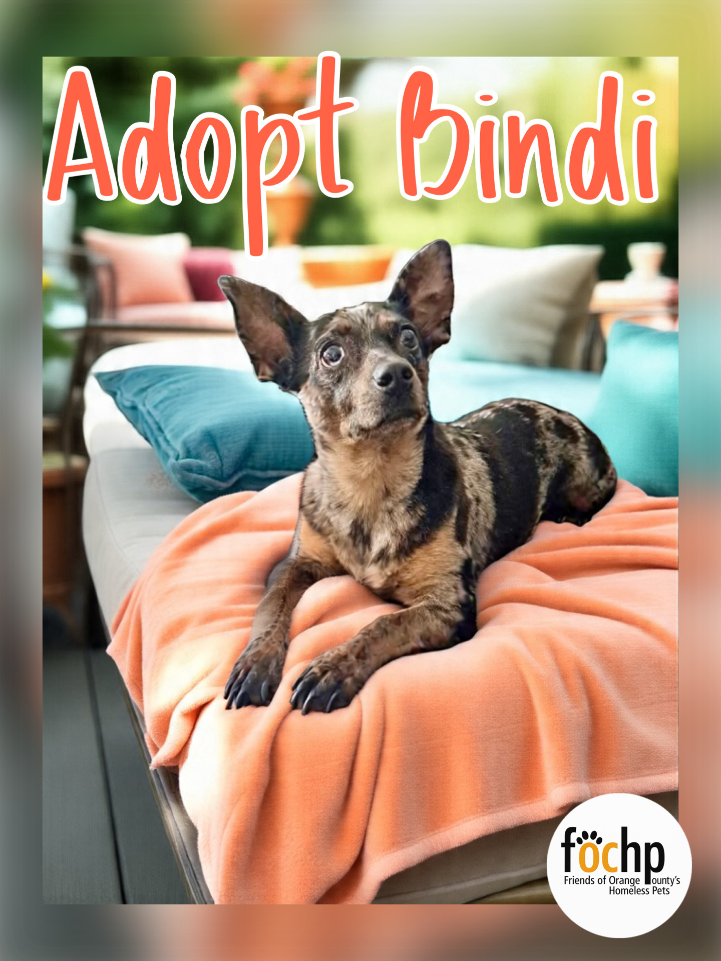 Bindi