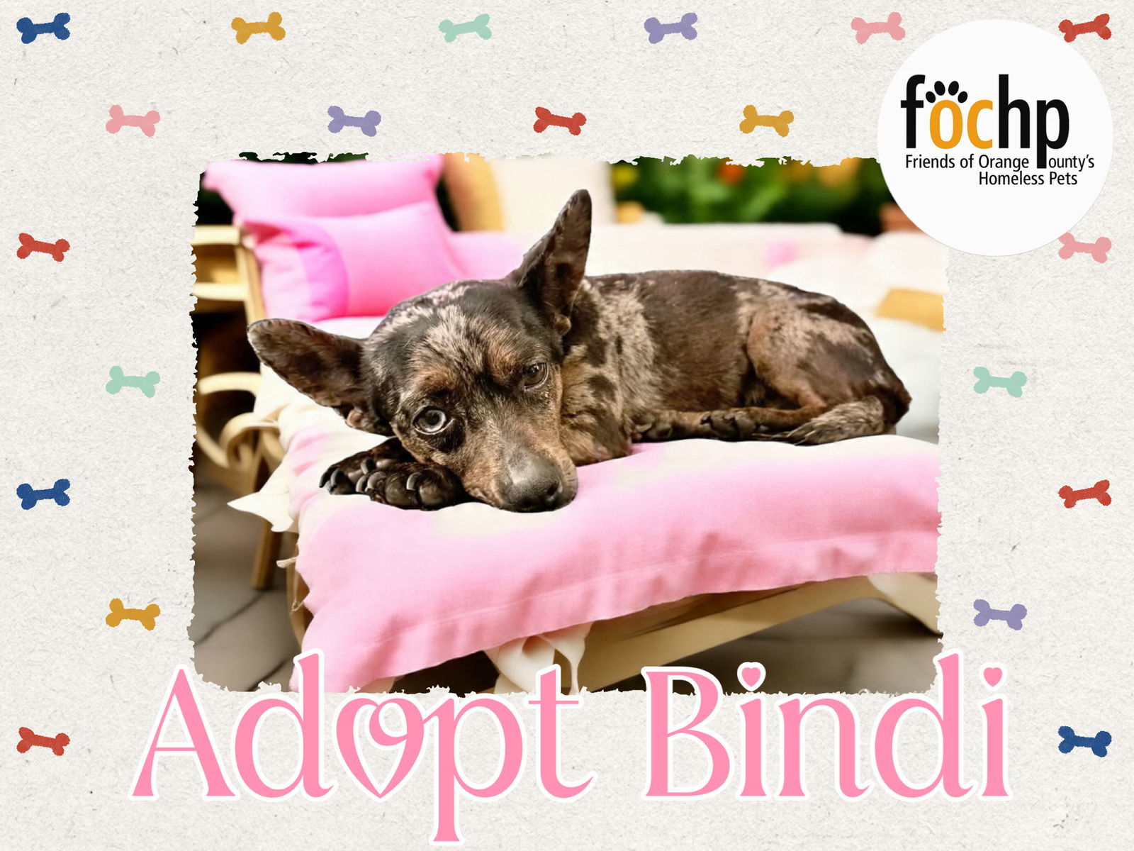 Bindi