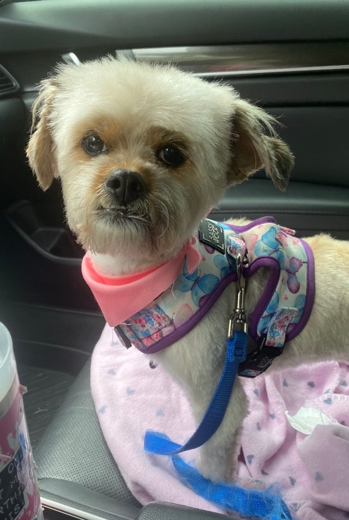 Shirley
