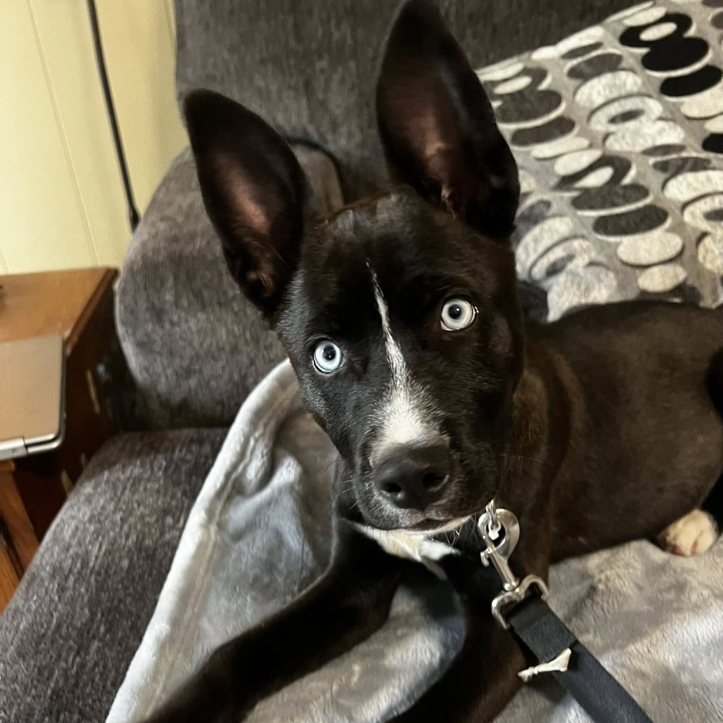 Zoey