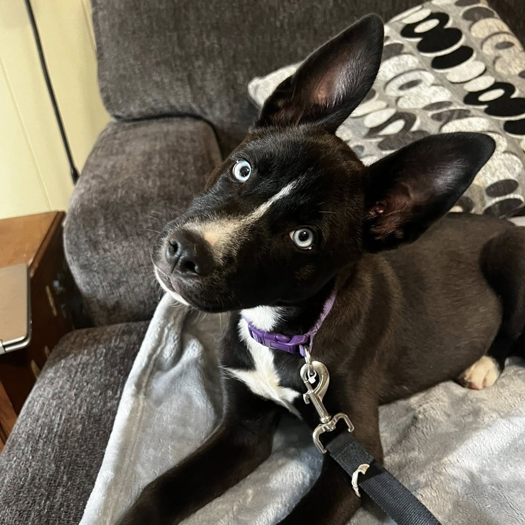 Zoey