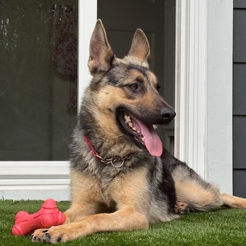 NYX