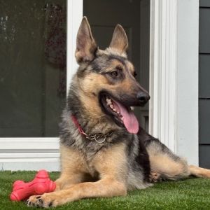 NYX