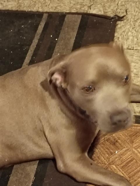 CHANCE