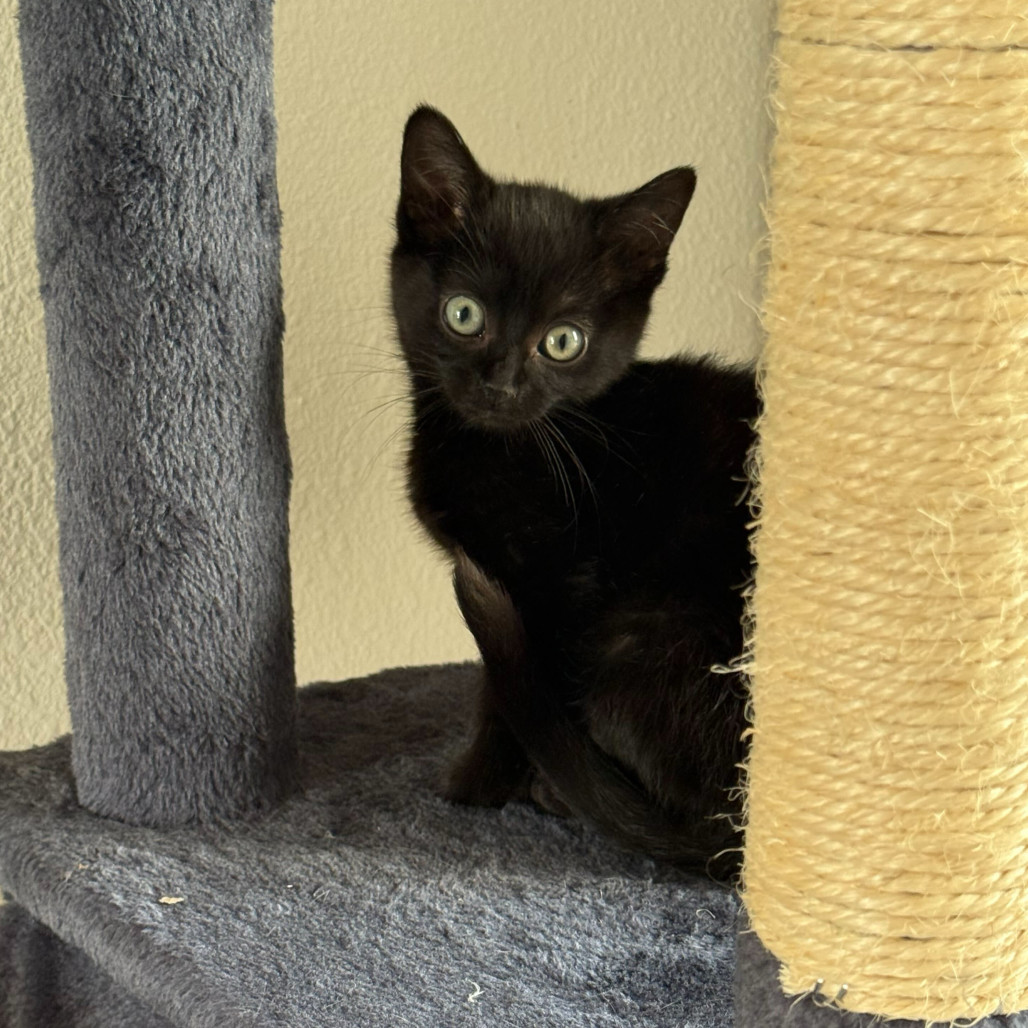 Eleanor