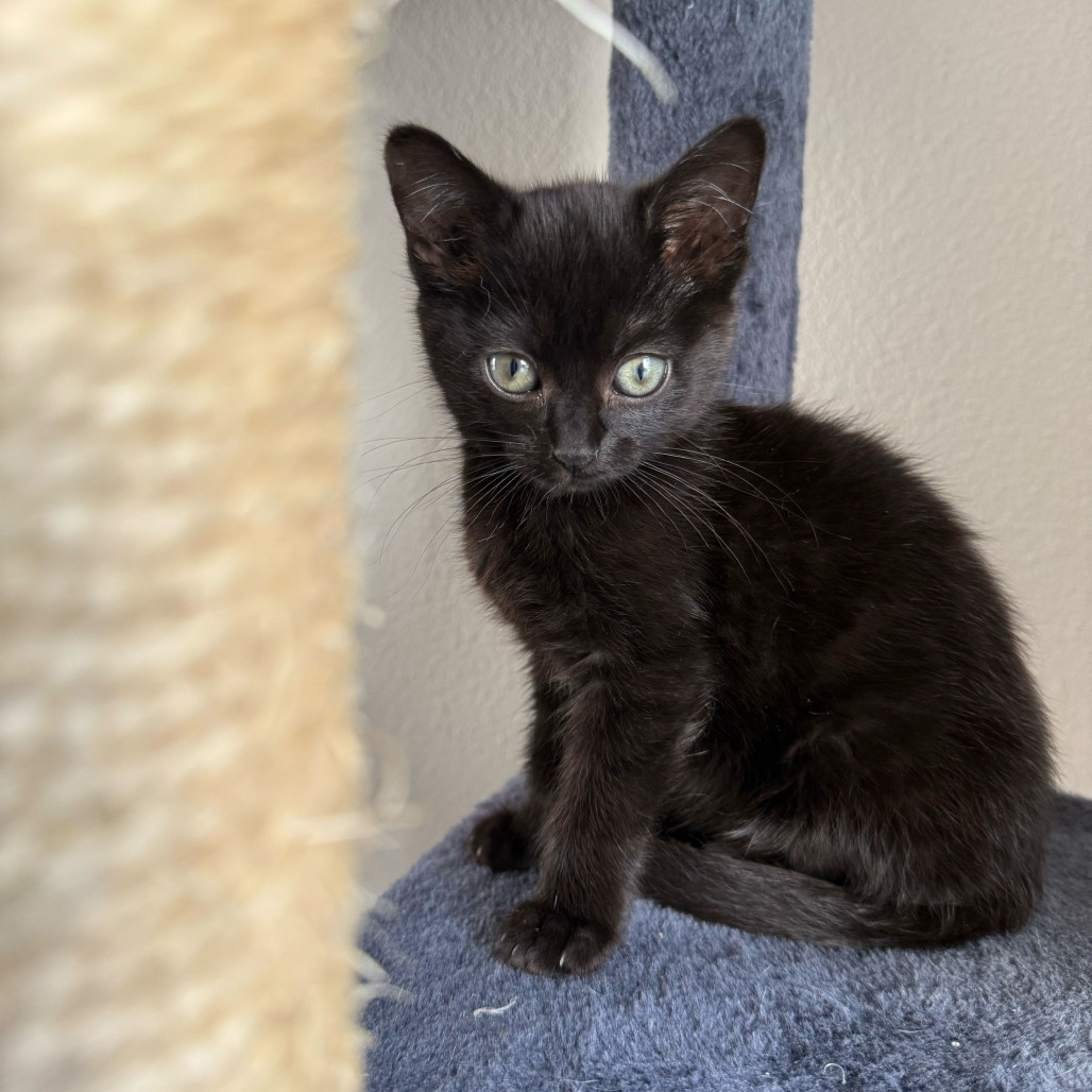 Eleanor