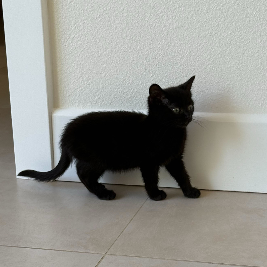 Eleanor