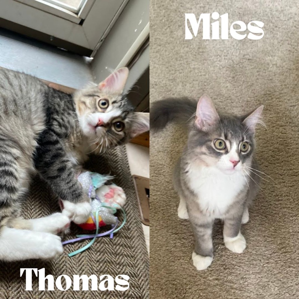 Miles / Thomas