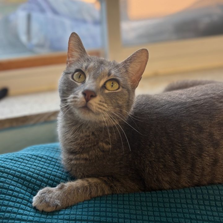 Maggie 1