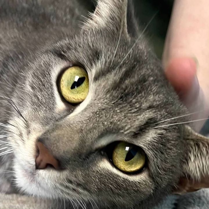 Maggie 2