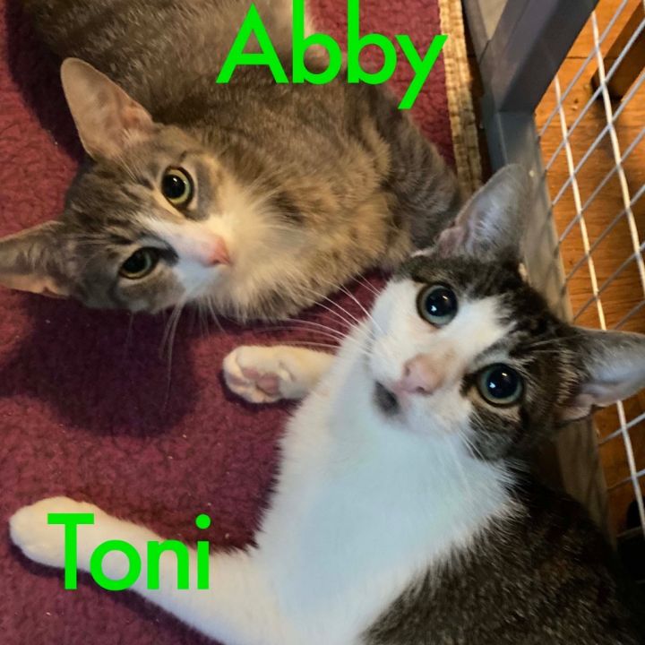 Milo and Abby,: Courtesy Post 5