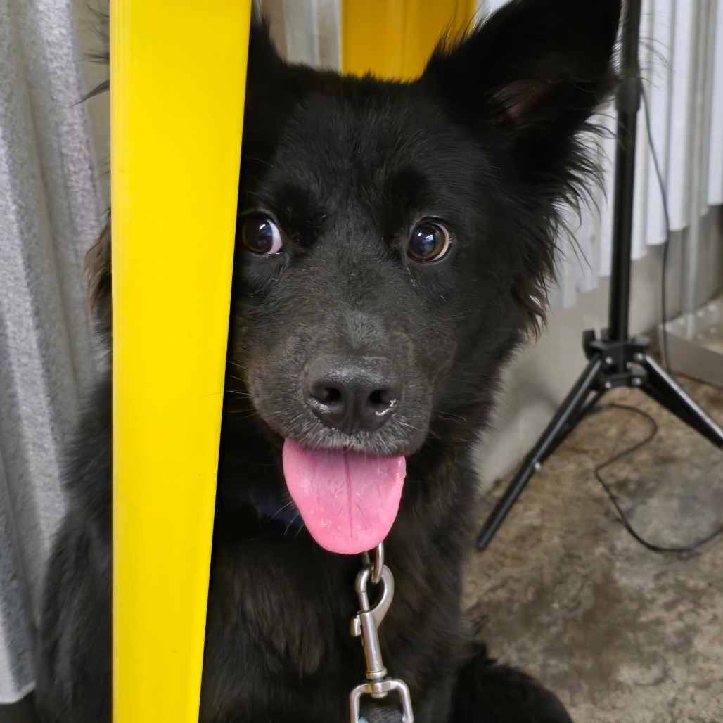 Jax