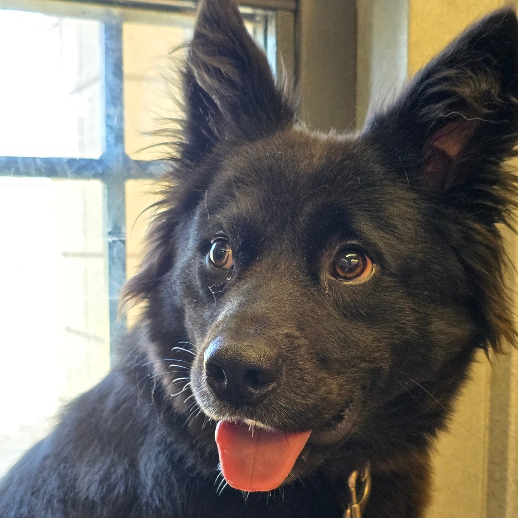 Jax
