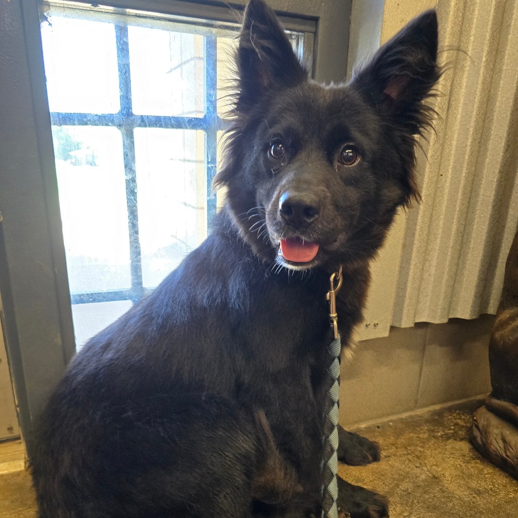 Jax