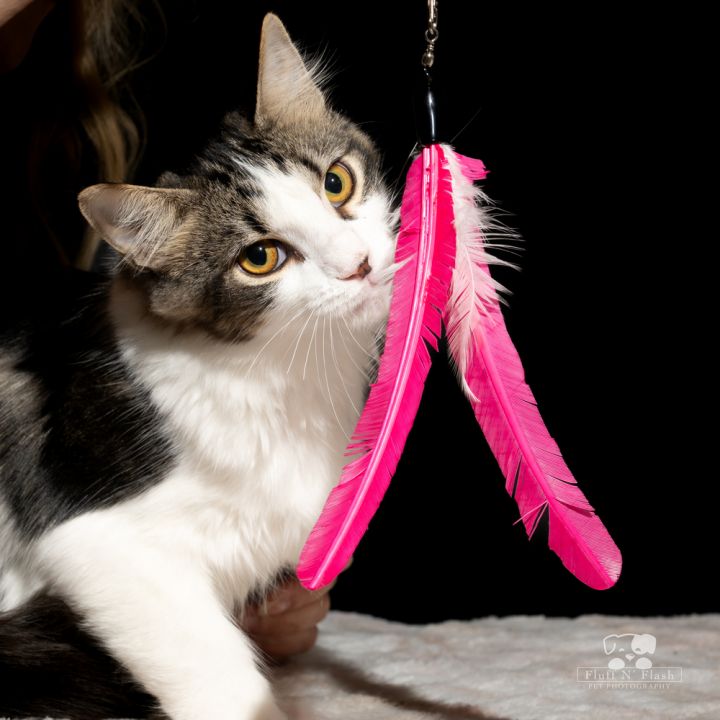 Twizzler 1
